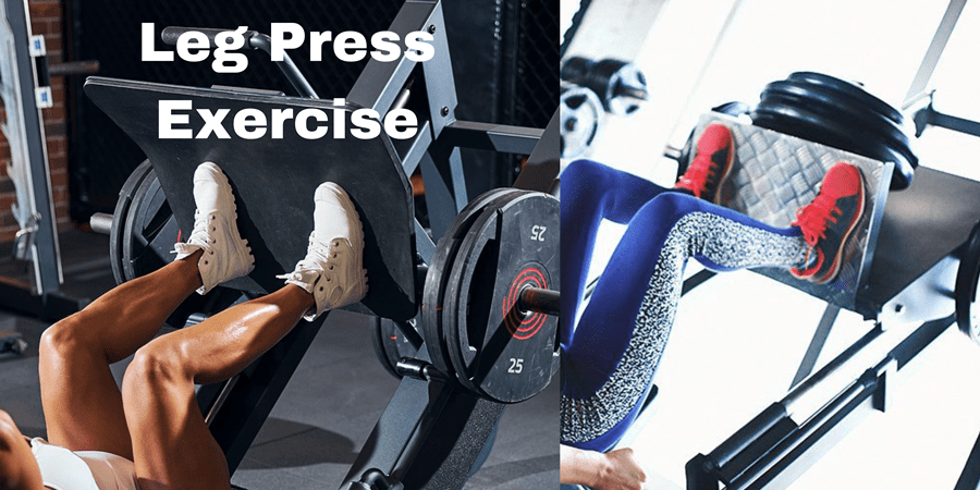 Leg Press exercise