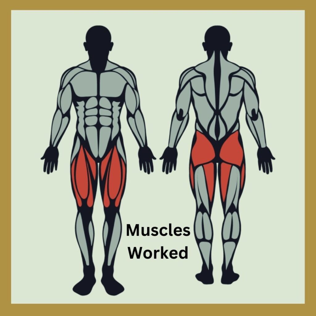Muscles Worked by Hack Squats