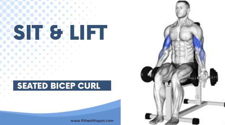 seated bicep curl demonstration image