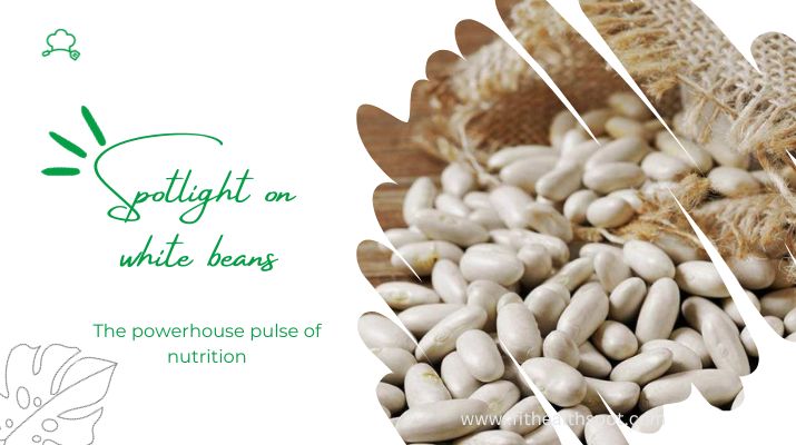 highlighted image of nutritious white beans
