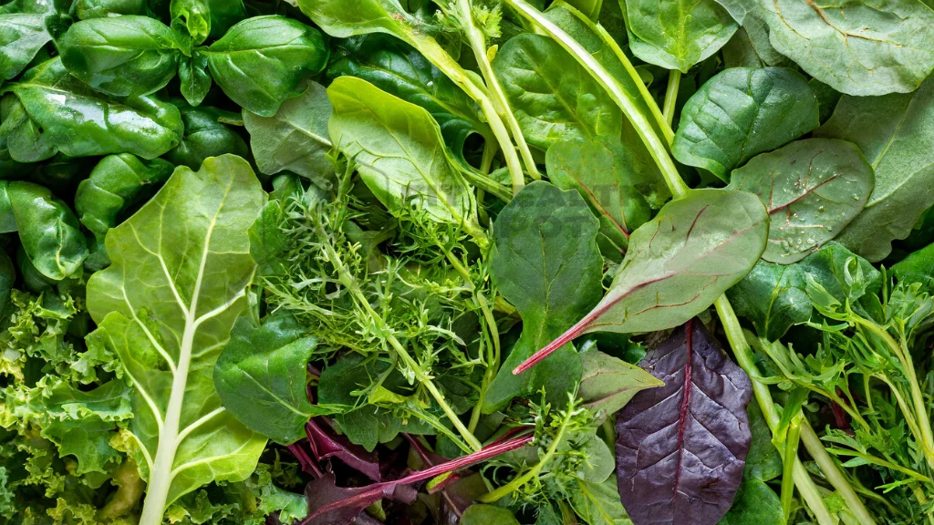 Close-up of mixed leafy greens, including spinach, kale, and arugula